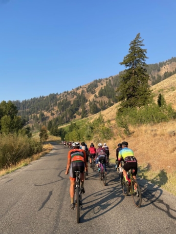 A large group of cyclists ride on a paved road  in early morning light with hills and shrubs around them