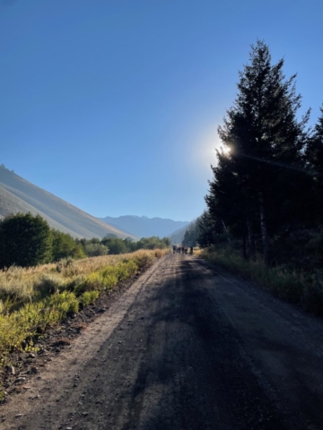 A dirt road stretches towards mountains in the distance. There is a pine tree on the right side of the road with the sun just behind it, and a group of cyclists in the distance.